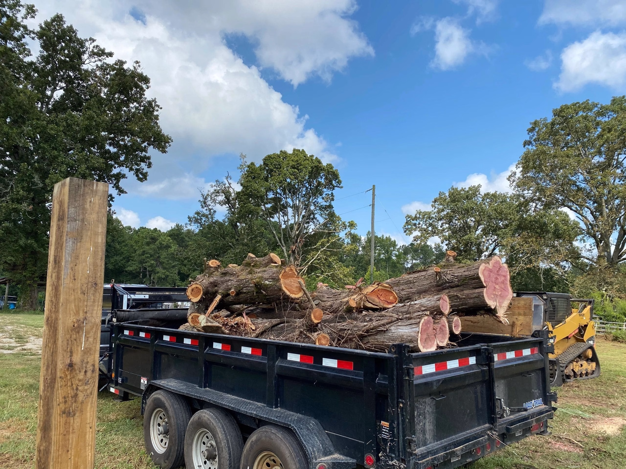 Tree Service Carrollton Georgia