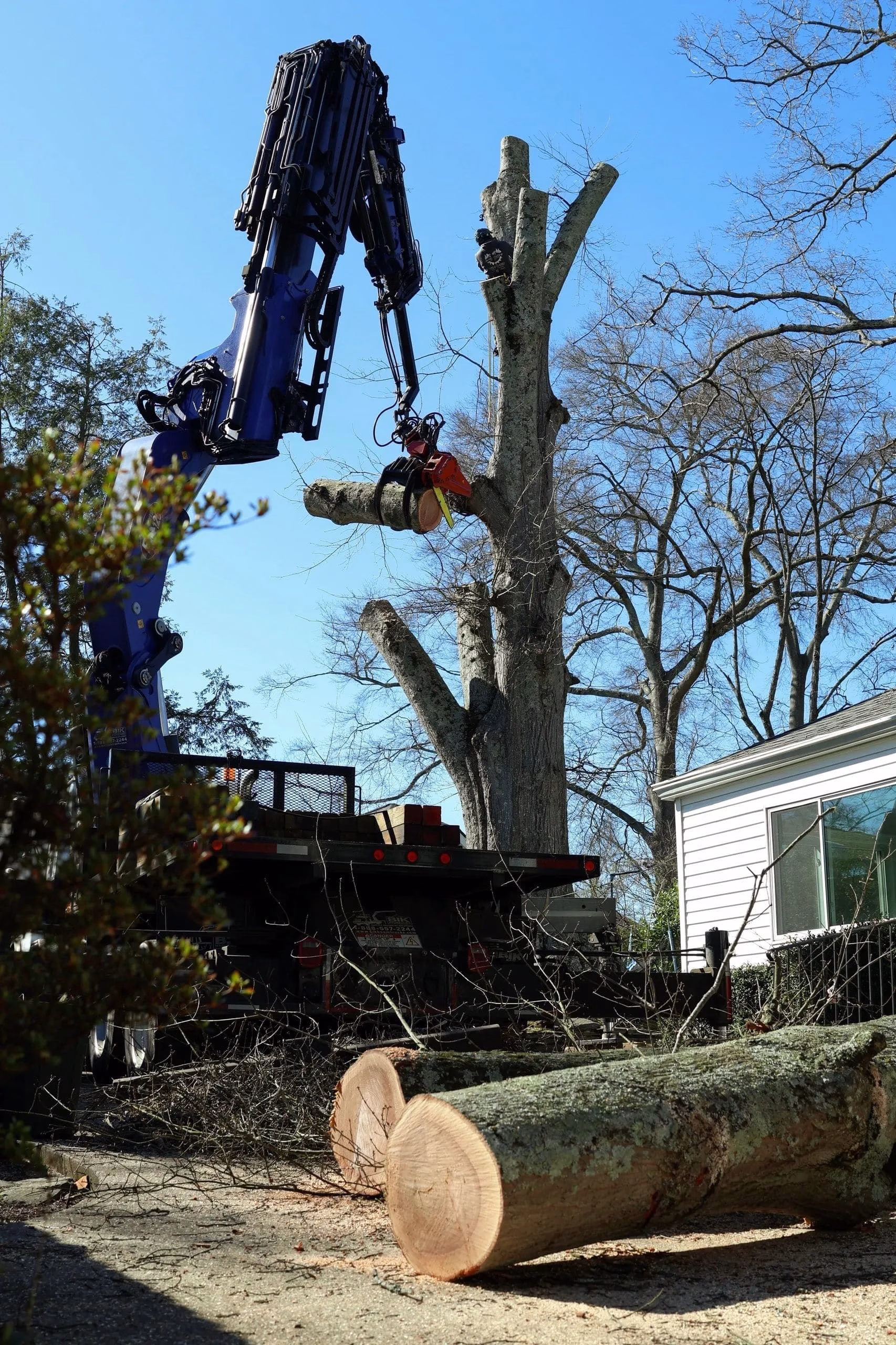 Canopy Reduction Bowdon